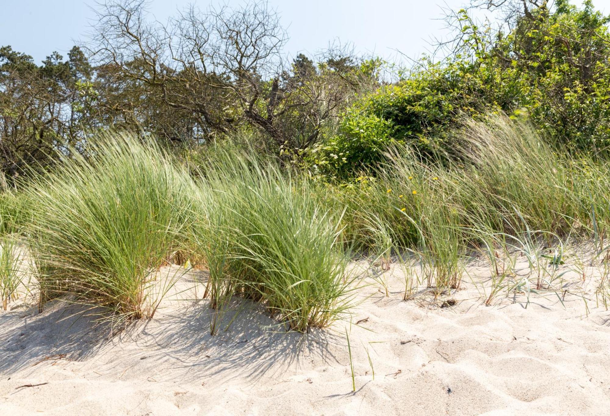 Villa Schmidt - Strandhaus Direkt Am Meer Mit Sauna, Sport Und Duenengarten II Rostock Esterno foto